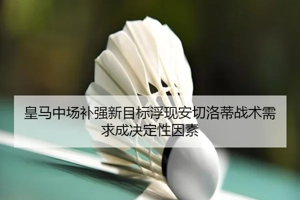 皇马中场补强新目标浮现安切洛蒂战术需求成决定性因素